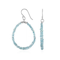 Ratanakiri Zircon Silver Earrings