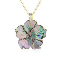 Abalone Shell Silver Necklace (Gems en Vogue)