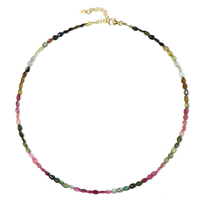 Fancy Tourmaline Silver Necklace