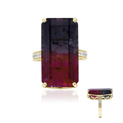 14K Bi Colour Tourmaline Gold Ring (AMAYANI)