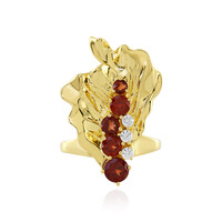 Mozambique Garnet Silver Ring (SAELOCANA)