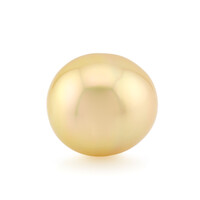 Kabira Golden South Sea Pearl other gemstone (TPC)