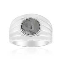 Aletai-Meteorite Silver Ring