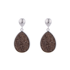 Zwenkau Druzy Wood Silver Earrings