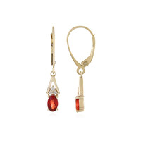 9K Tanzanian Ruby Gold Earrings