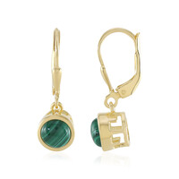Malachite Silver Earrings