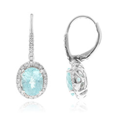 18K Paraiba Tourmaline Gold Earrings (CIRARI)
