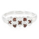 Fancy Diamond Silver Ring