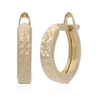 9K Gold Earrings