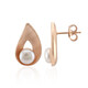 White Freshwater Pearl Silver Earrings (TPC)