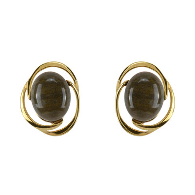 Petrified Wood Silver Earrings (dagen)