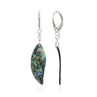 Abalone Shell Silver Earrings