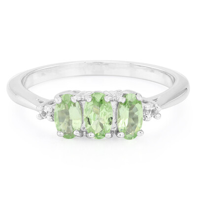 Merelani Mint Garnet Silver Ring