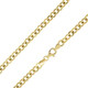 Silver Chain