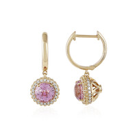 14K AAA Brazilian Kunzite Gold Earrings (de Melo)