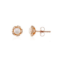 Freshwater pearl Silver Earrings