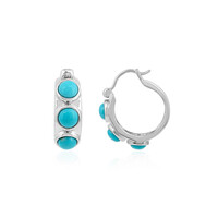 Sleeping Beauty Turquoise Silver Earrings