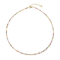Fancy Tourmaline Silver Necklace