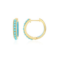 Sleeping Beauty Turquoise Silver Earrings