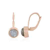Labradorite Silver Earrings