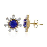 9K Tanzanite Gold Earrings (Adela Gold)
