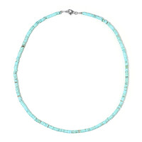 Blue Magnesite Silver Necklace