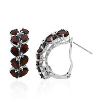 Garnet Silver Earrings