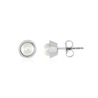Freshwater pearl Silver Earrings