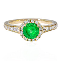 14K AAA Tsavorite Gold Ring (CIRARI)