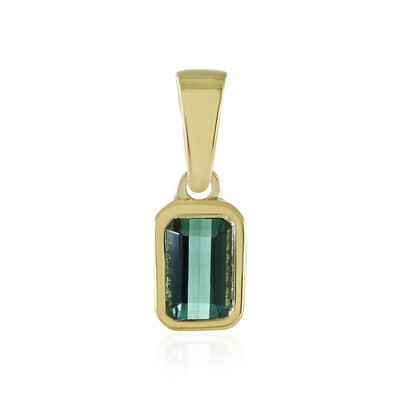 Benedito Green Tourmaline Silver Pendant(Adela Silber)