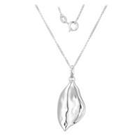 Silver Chain