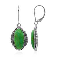 Kingman Green Mojave Turquoise Silver Earrings (Art of Nature)