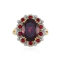 18K AAA Umbalit Gold Ring (D'vyere)
