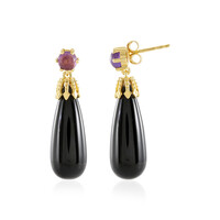 Black Onyx Silver Earrings