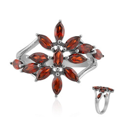 Mozambique Garnet Silver Ring