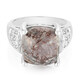 Sonora Dendritic Silver Ring