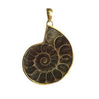 Ammonite Silver Pendant