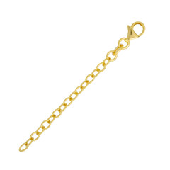 Silver Chain