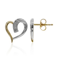 PK (I) Diamond Silver Earrings