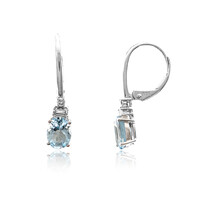 14K AAA Brazilian Aquamarine Gold Earrings (CIRARI)