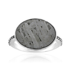 Aletai-Meteorite Silver Ring