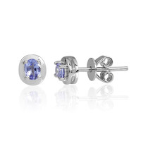 Tanzanite Silver Earrings