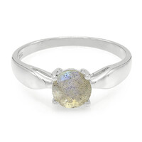 Romanian Spectrolite Silver Ring
