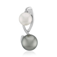 9K Tahitian Pearl Gold Pendant (TPC)