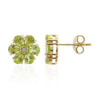 Burmese Peridot Silver Earrings