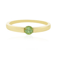 9K Merelani Mint Garnet Gold Ring