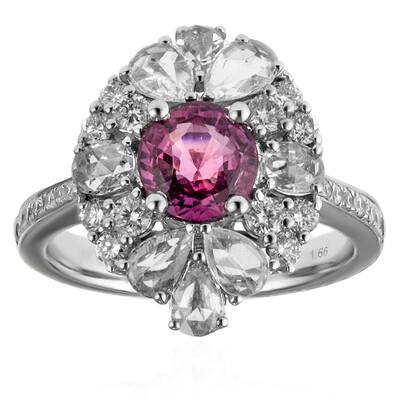 18K Pink Sapphire Gold Ring (CIRARI)