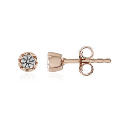 Zircon Silver Earrings (Adela Silber)