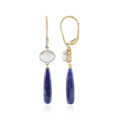 Sodalite Silver Earrings