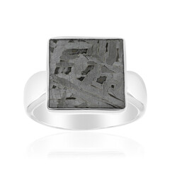 Aletai-Meteorite Silver Ring